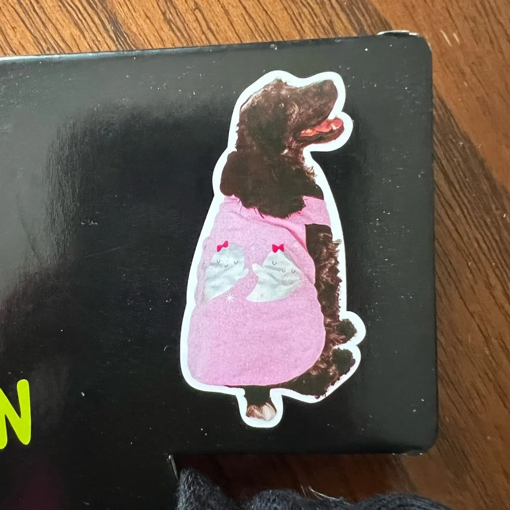 Pet Halloween Hoodie - Black and Pink